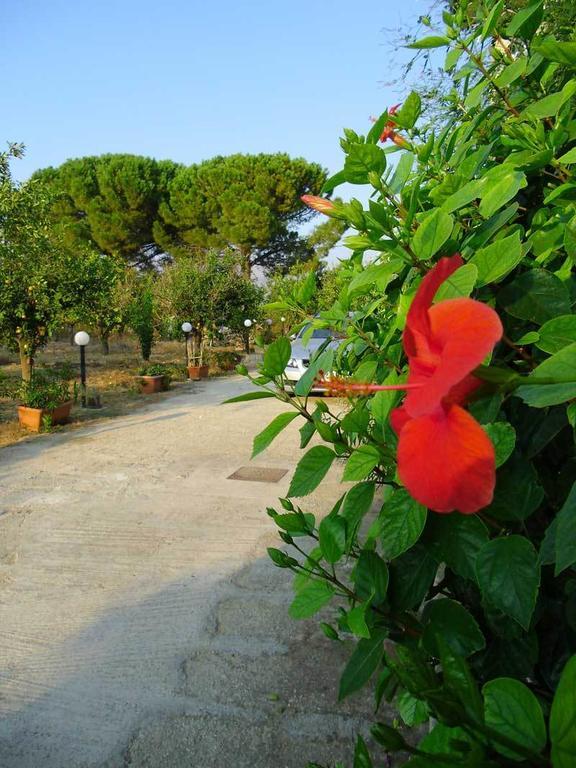 "Green" B&B Il Bracco Partinico Extérieur photo