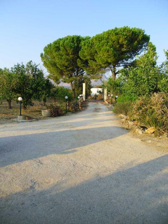 "Green" B&B Il Bracco Partinico Extérieur photo
